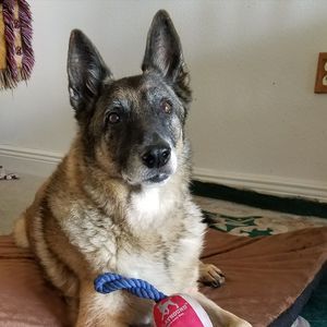 Meet your Posher, Denise